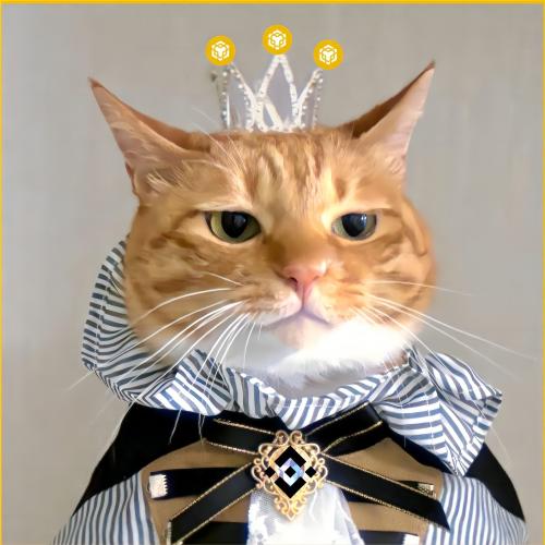 Meow Logo